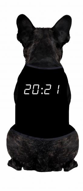 Body Para Cachorro  Temático Ano Novo - 20:21h 