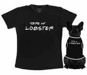 Kit Camiseta Dono + Body Pet You're My Lobster