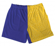 Short Tactel Azul E Amarelo  Masculino Para A Copa