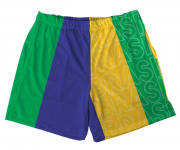 Short Tactel Cores Da Bandeira  Masculino Para A Copa